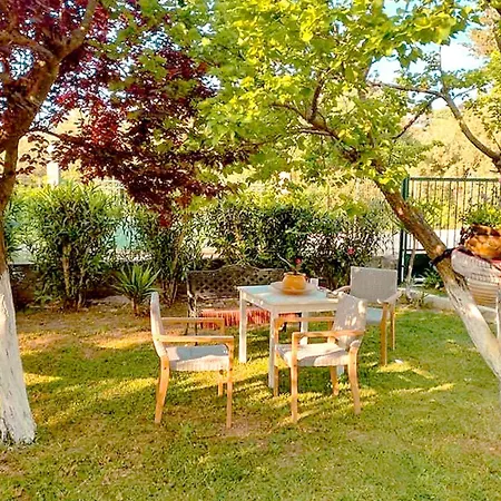Apartment Olia S