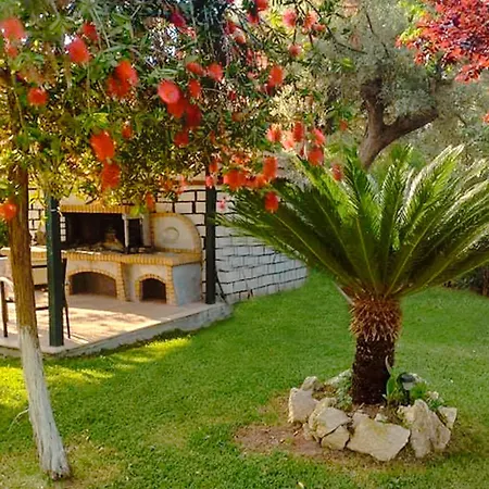 Olia S Lygia (Lefkada)