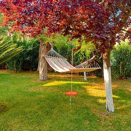 Appartement Olia S *